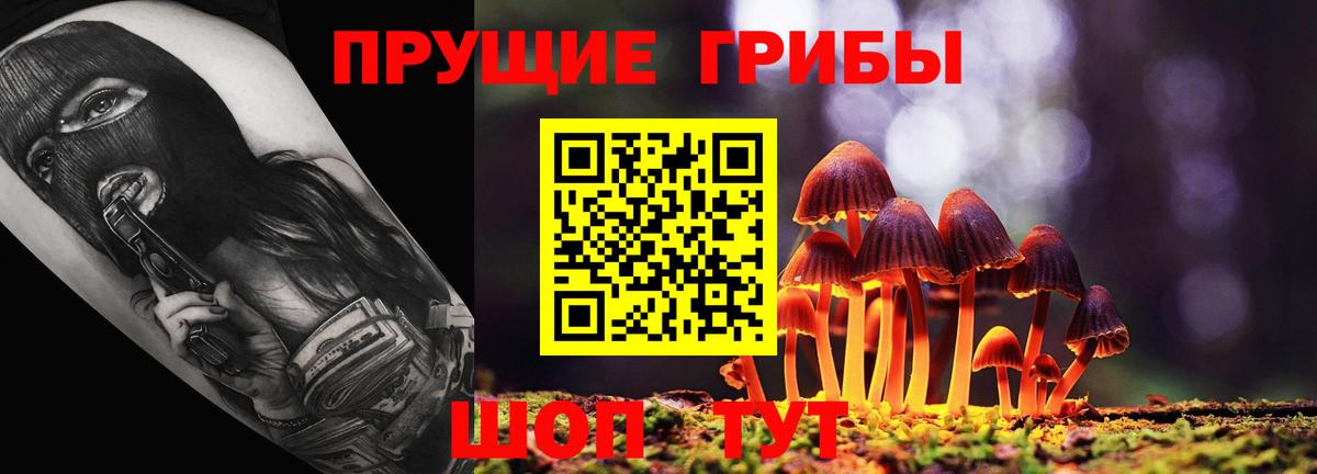 Галлюциногенные грибы Psilocybe Симферополь